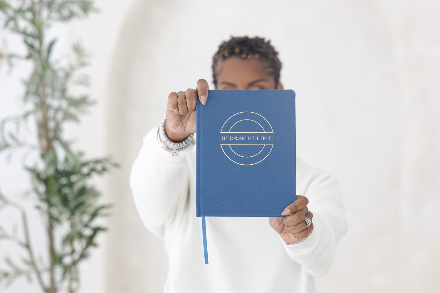 The Dream Is the Truth Guided Journal